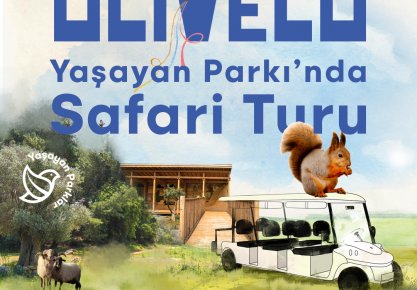 Olivelo Yaşayan Park’ta safari turları yarın başlıyor